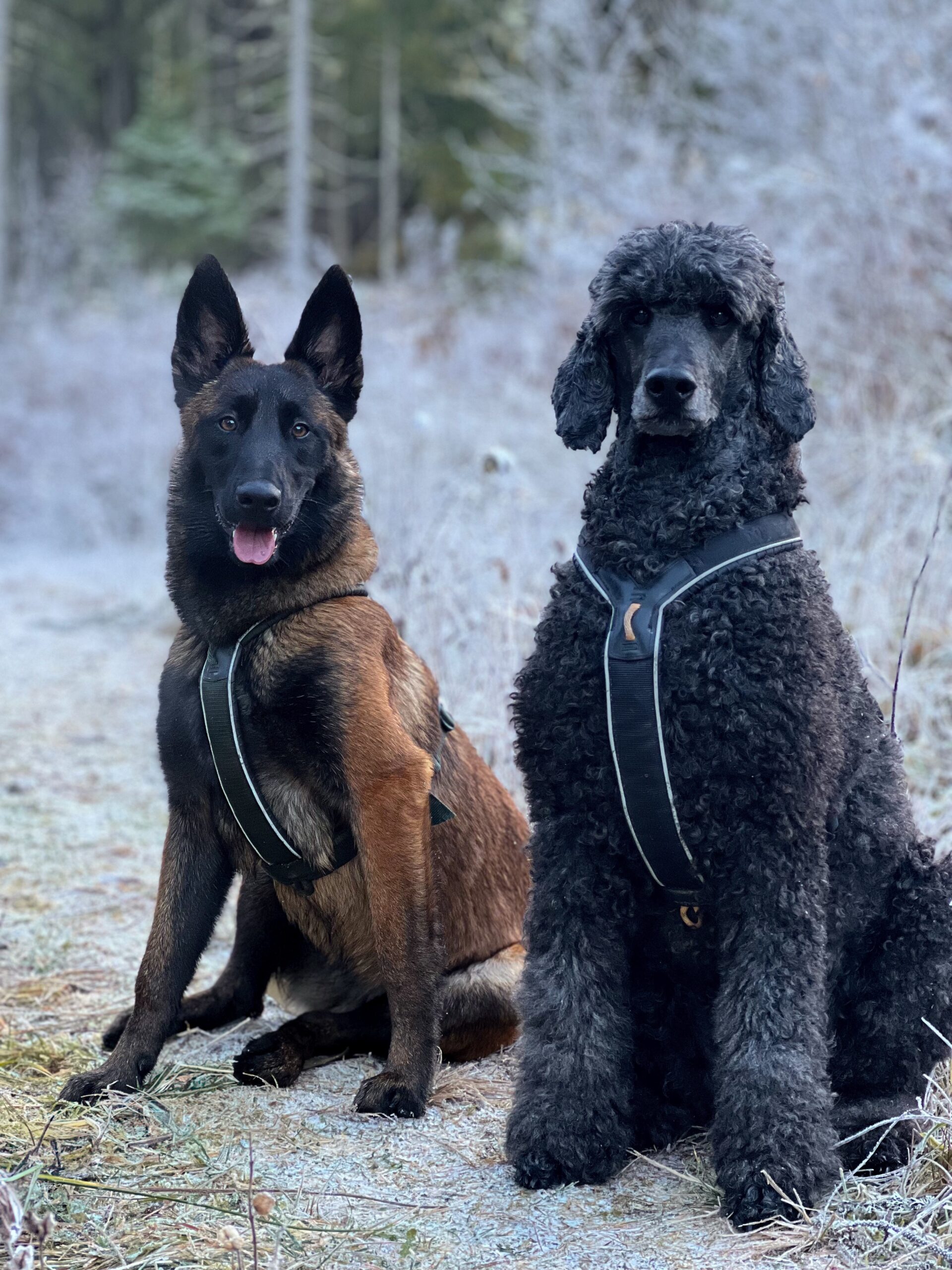 8AD26C4E 2D7F 441F 9A50 EC02D82D2477 fb49923cec97fbfdfdfb7fde8636d1ec scaled