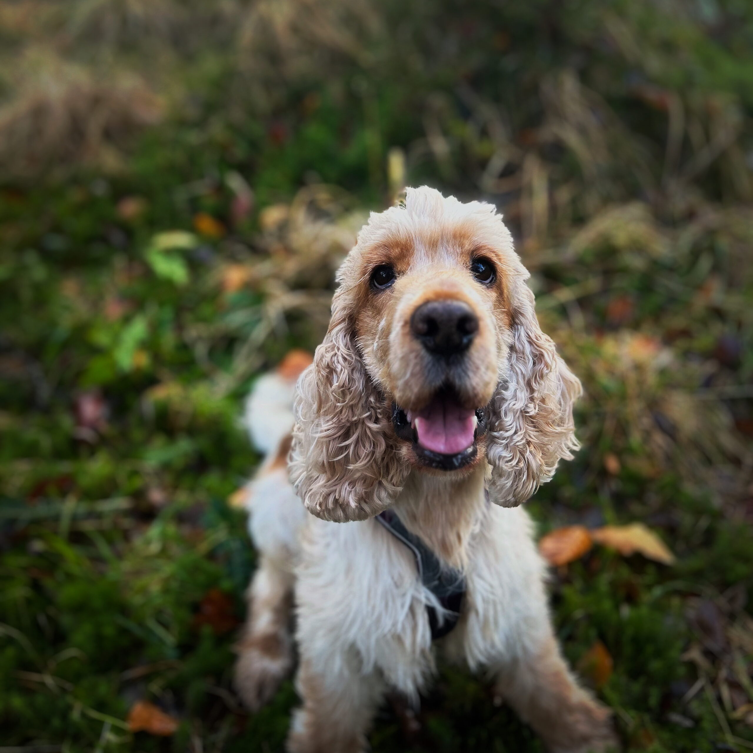 B20C9128 FF61 46BA A094 F356D55DD04D bc30307963c96607a594e00ee18d7086 scaled