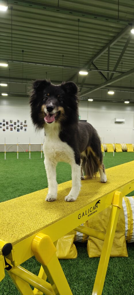 IMG20251113205912 e7e43d17b5ce8d9e6b957f0eeee641a8