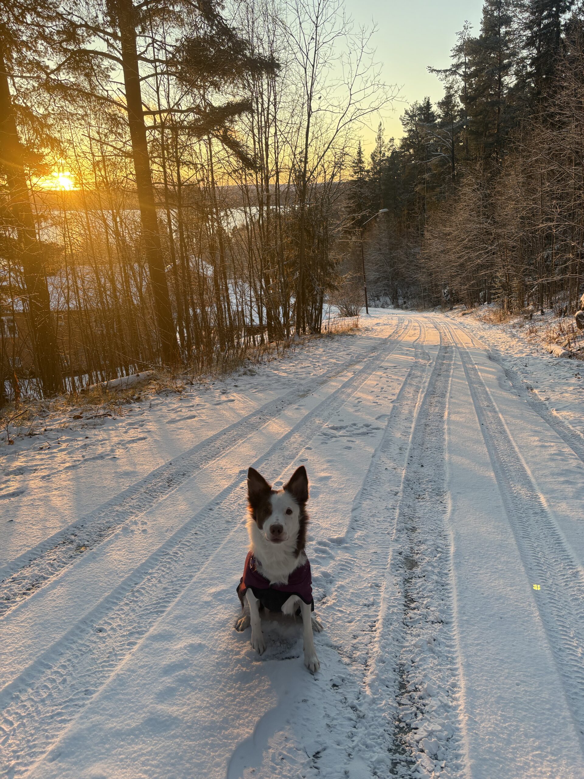 IMG 0223 48746b9b002c80de2d319b33837b2853 scaled