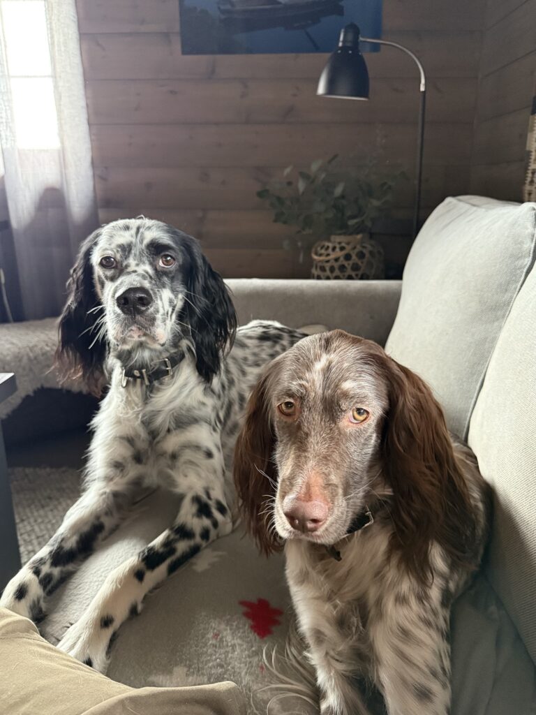 IMG 0531 e2668feb8b1eae4e01cd918a7a62de36