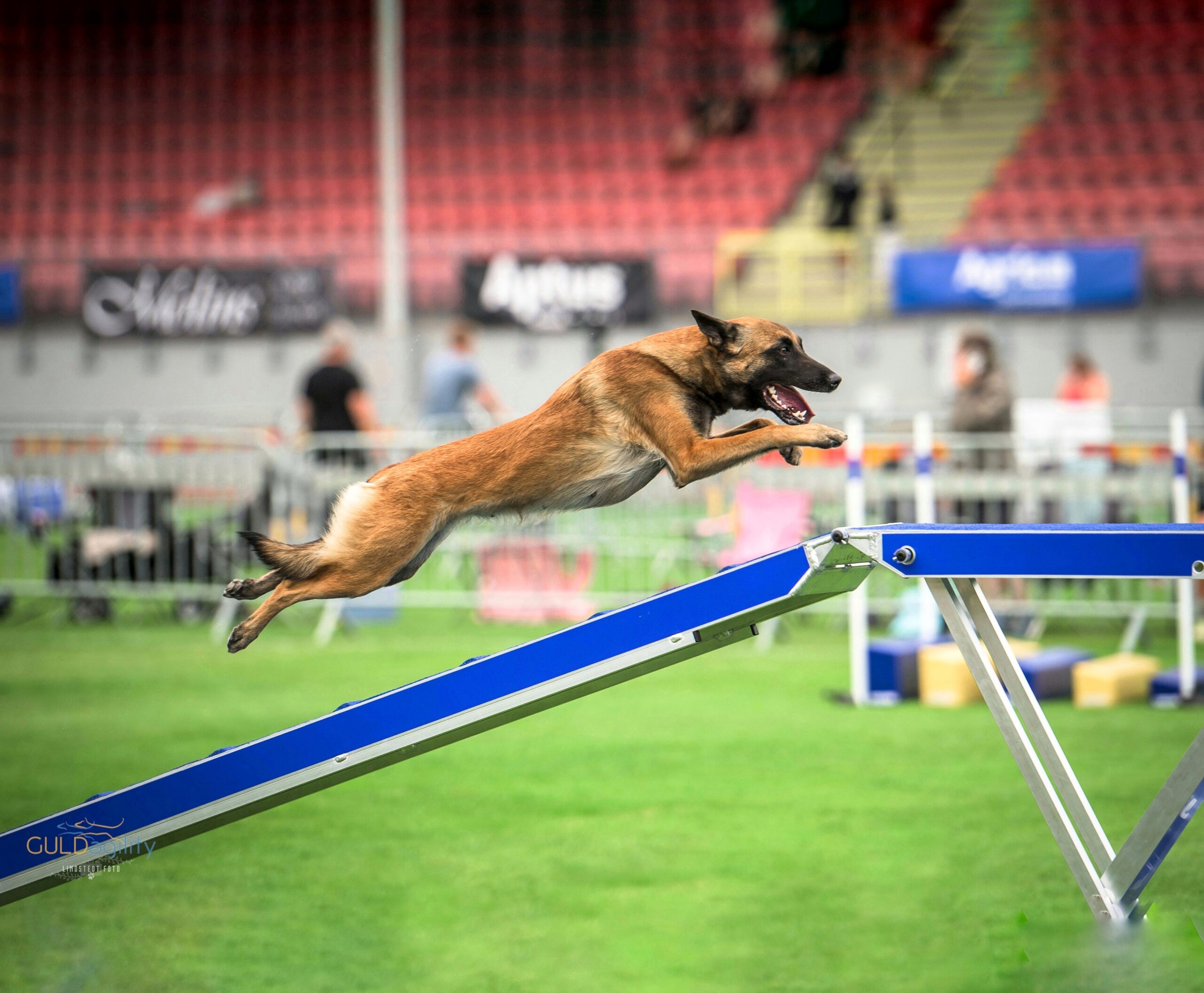 IMG 20240720 154640 733 1 a7947f053bd8a5286c07f16525d79a9d scaled