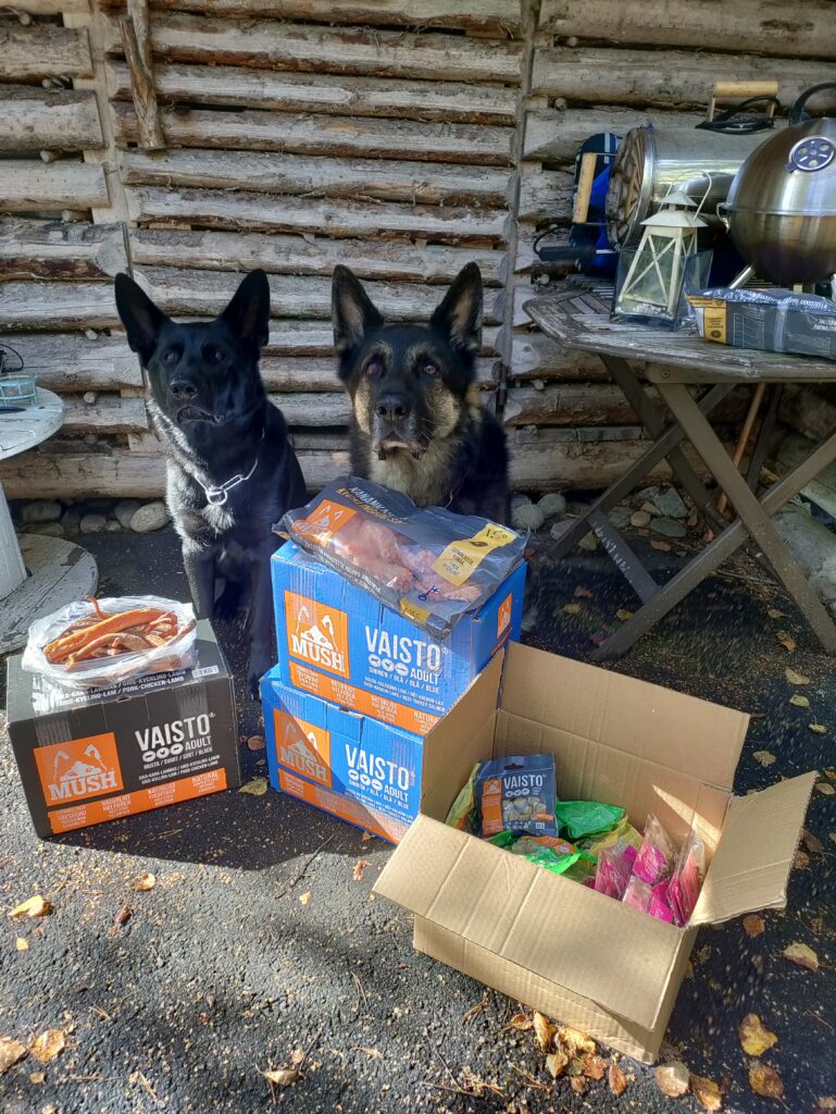 Airasuden Even 2 IMG 20250904 125947 827960f81b45c512c7de1e399696d8bb