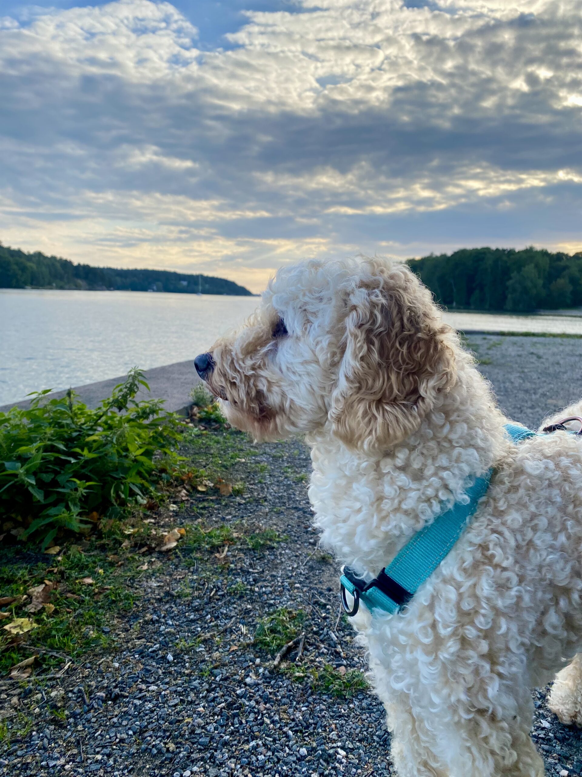 IMG 2181 f3c2d892fefcc996d440d884195d475b scaled