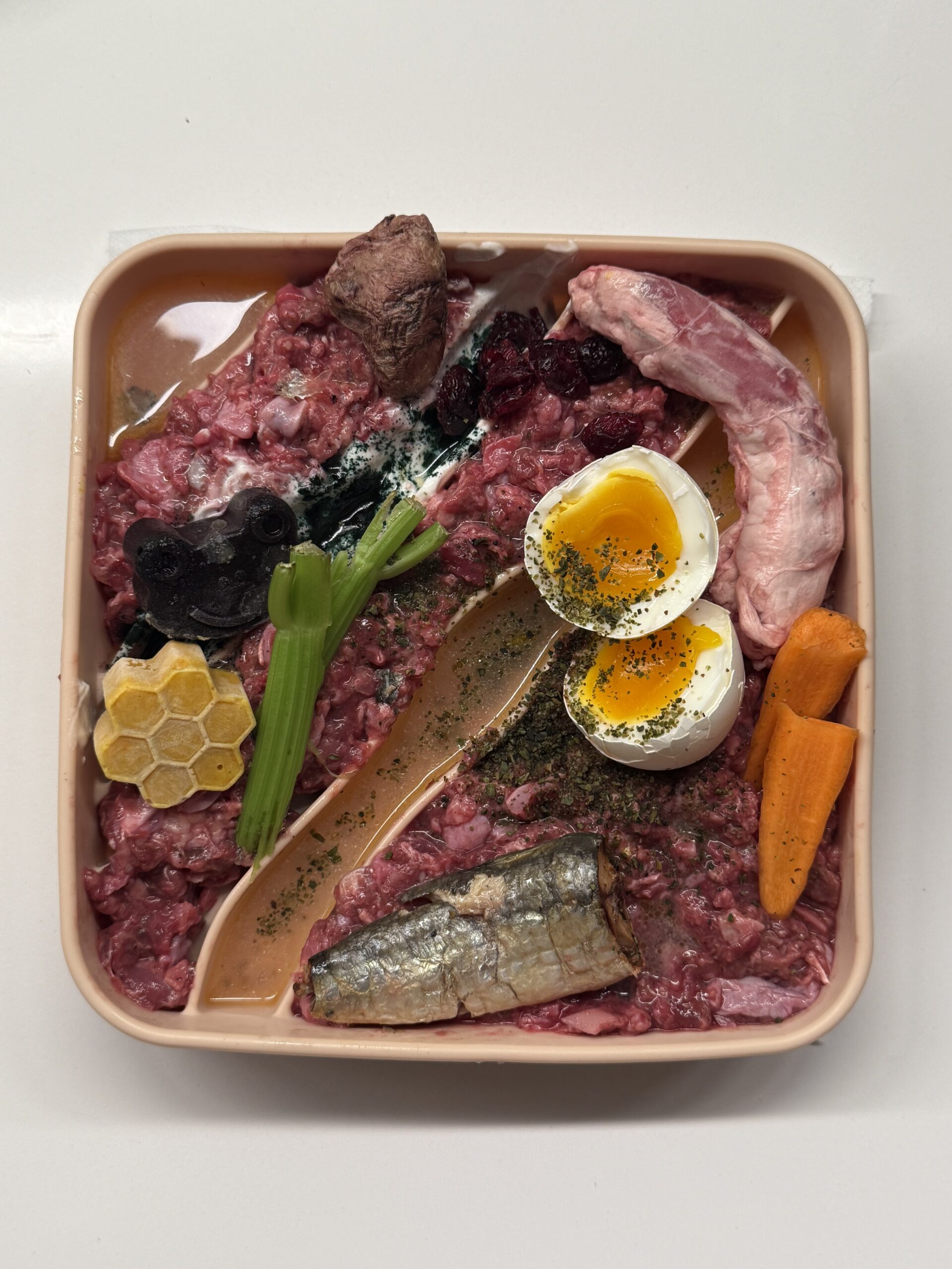 IMG 3212 44cd5024a7fa9e731f7edca825b27ad6 scaled