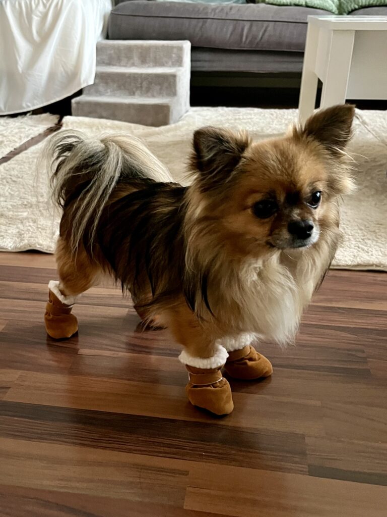 IMG 3837 55dcba2e1c19a0ac0898d7f529a3bdd4