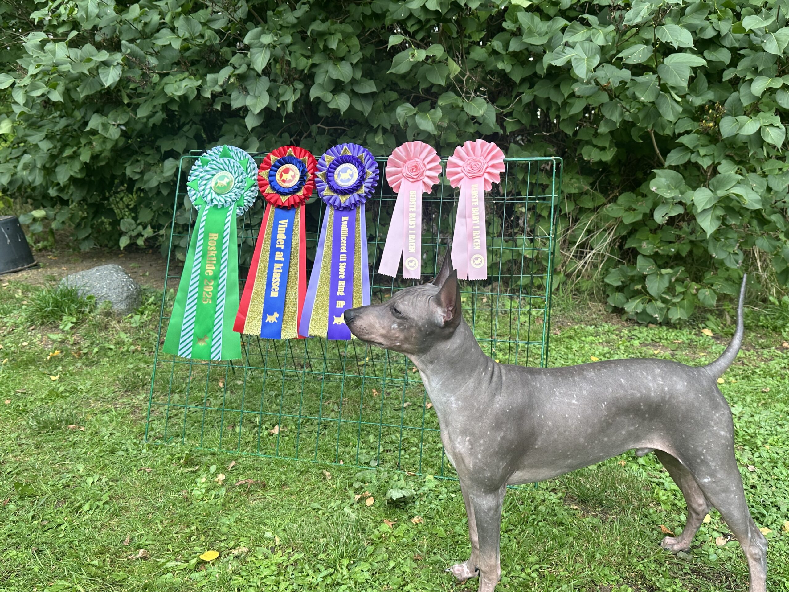 IMG 3934 17d59200e3ea1b8af74d3c06b0032be5 scaled