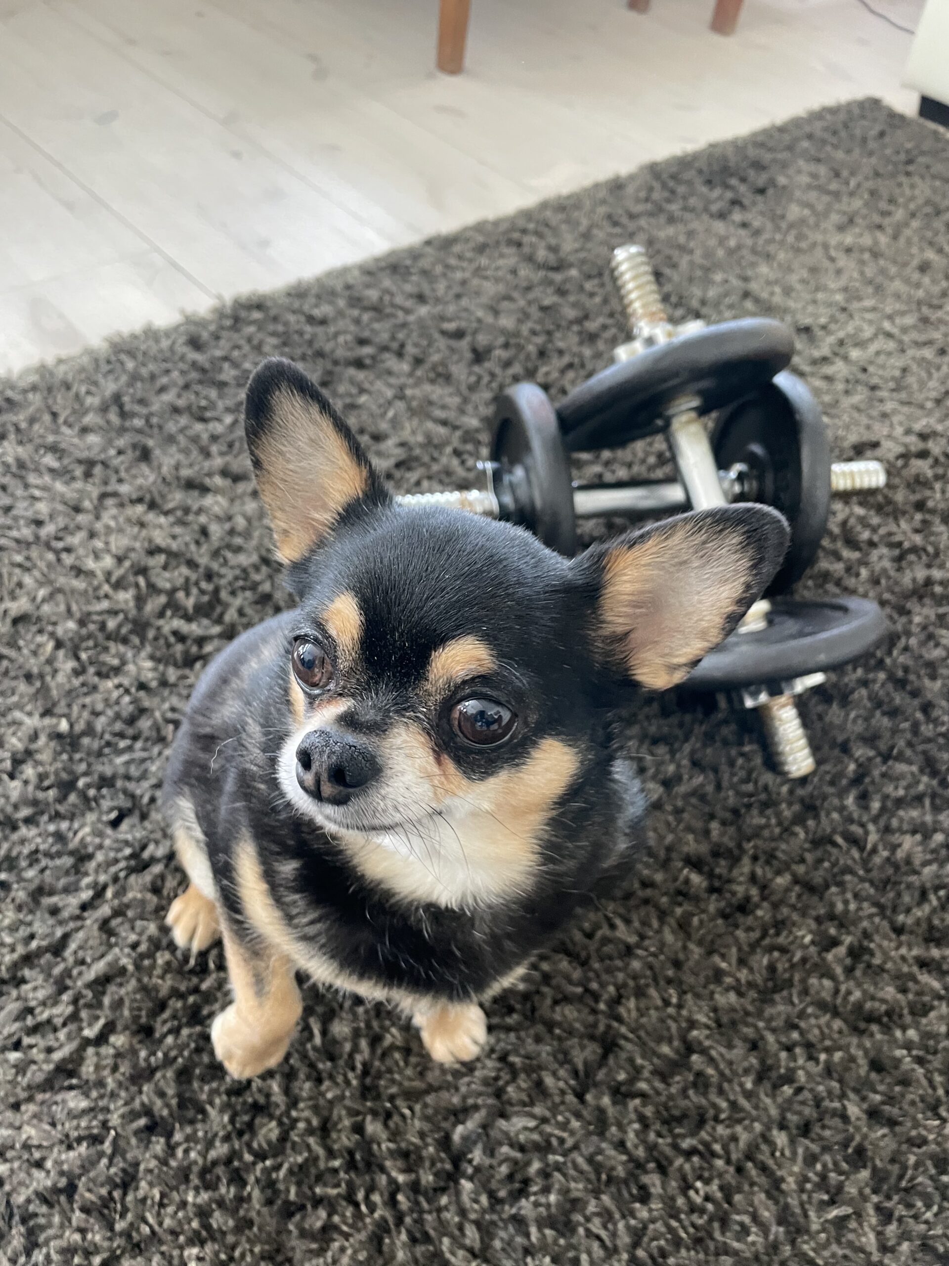 IMG 4797 55527fed3964cd9dd64d01902e396b7d scaled