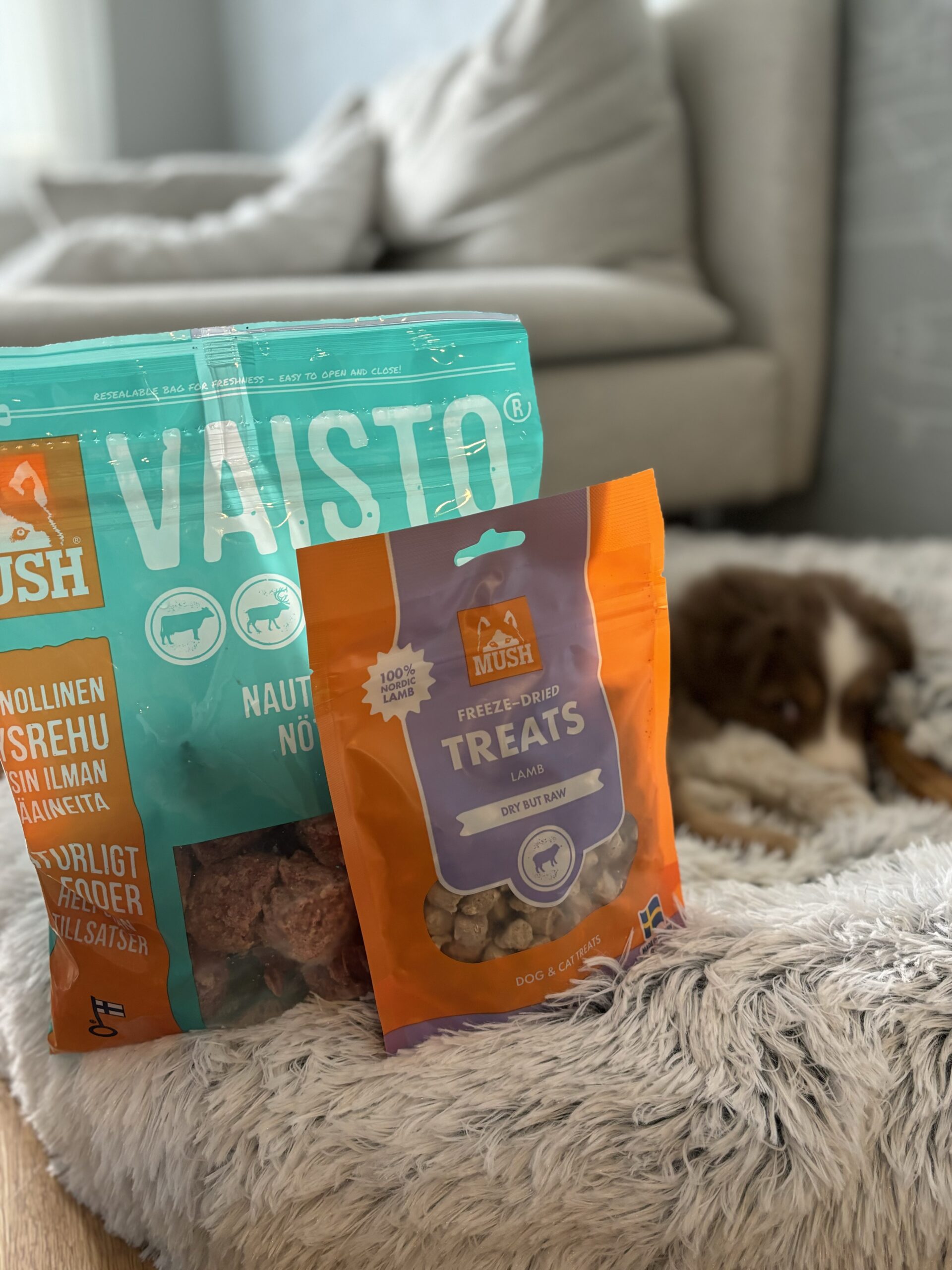 IMG 6194 741a055d5536bcb26f333869bb85046d scaled