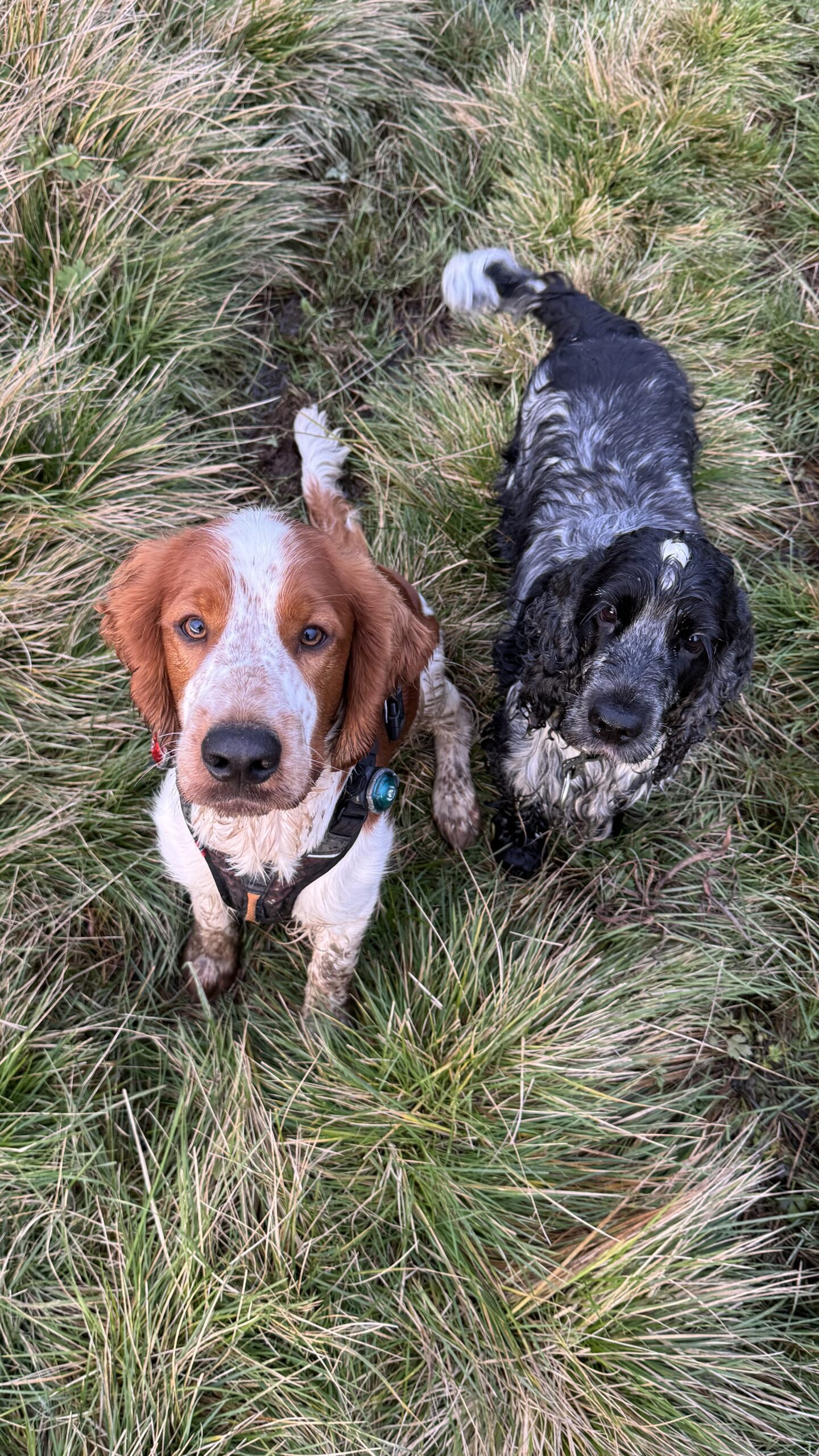 IMG 6274 c770ae3e740e7dcb77777c48a6d452ac scaled