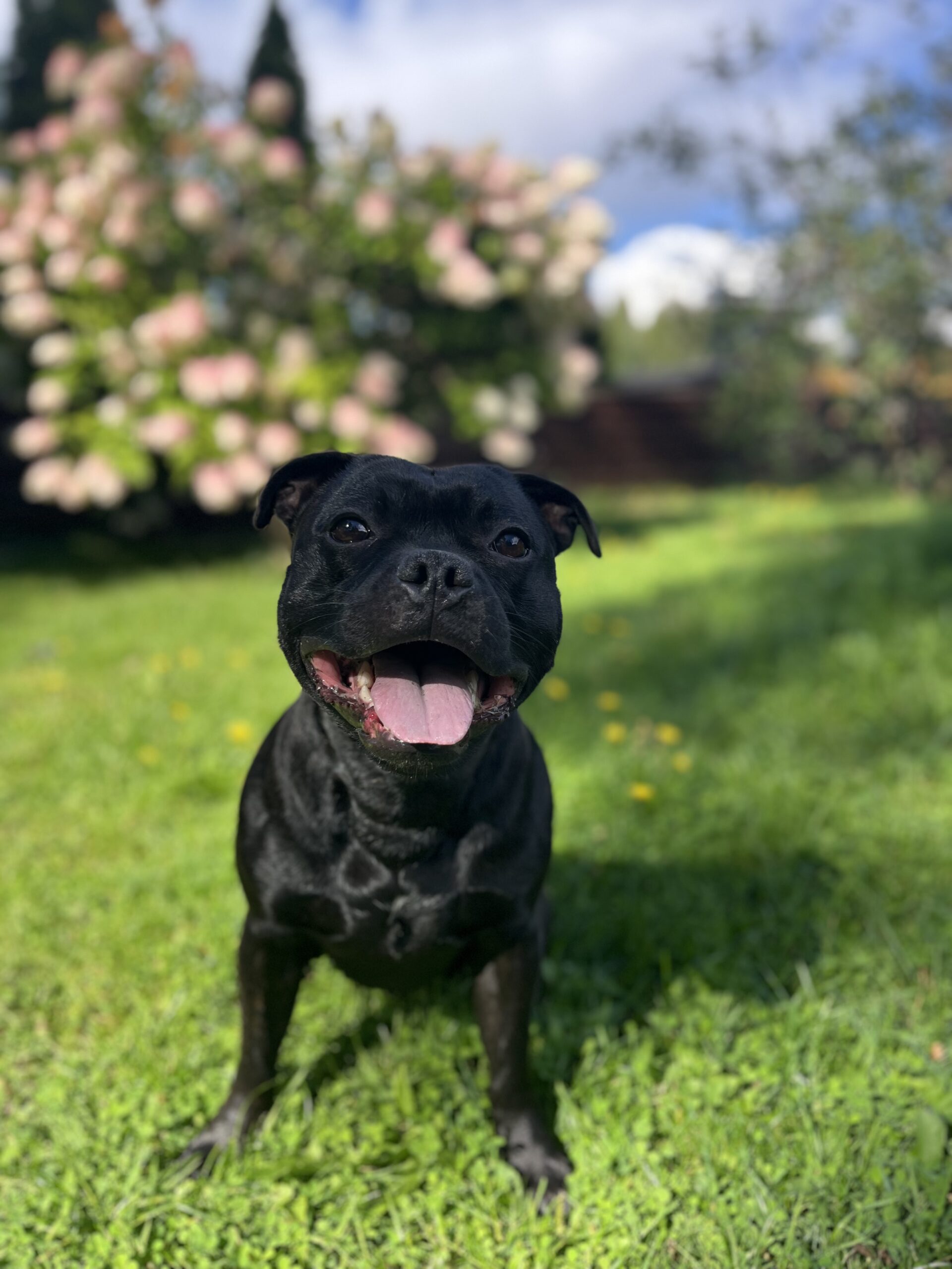 IMG 6397 dcaf4fdd67f5903afb93024ee5326fa1 scaled