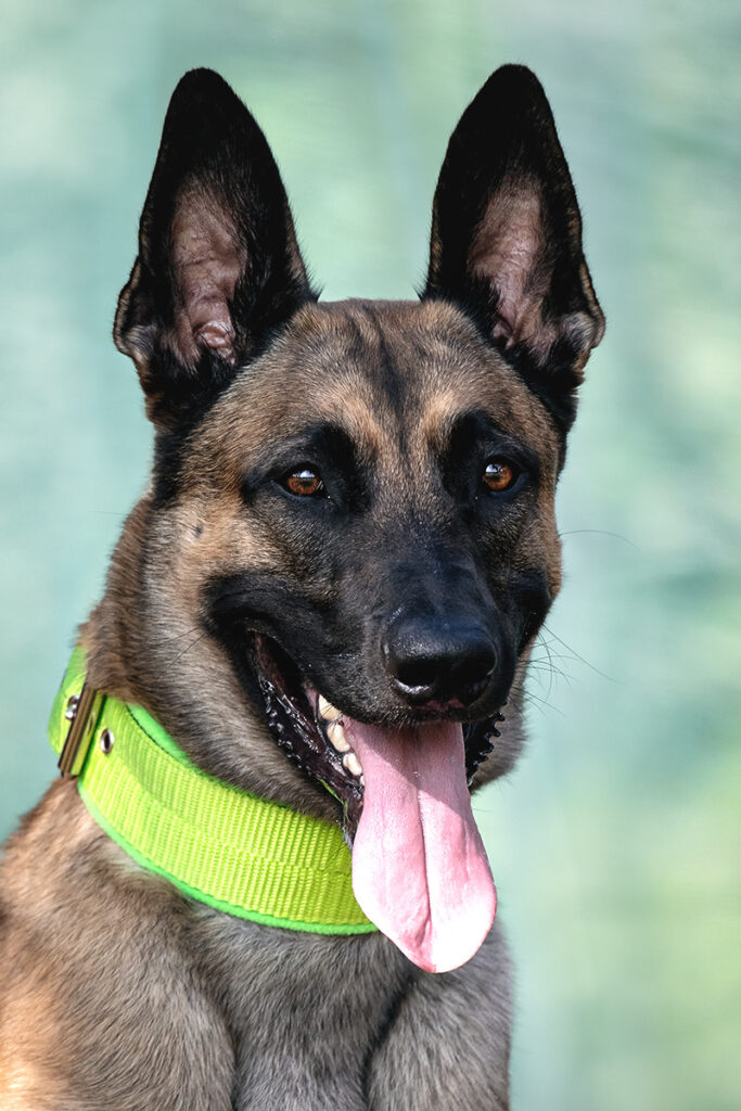 Isku 6 IMG 6582 4e379fc19d14abf22863aae8fa0b56b3