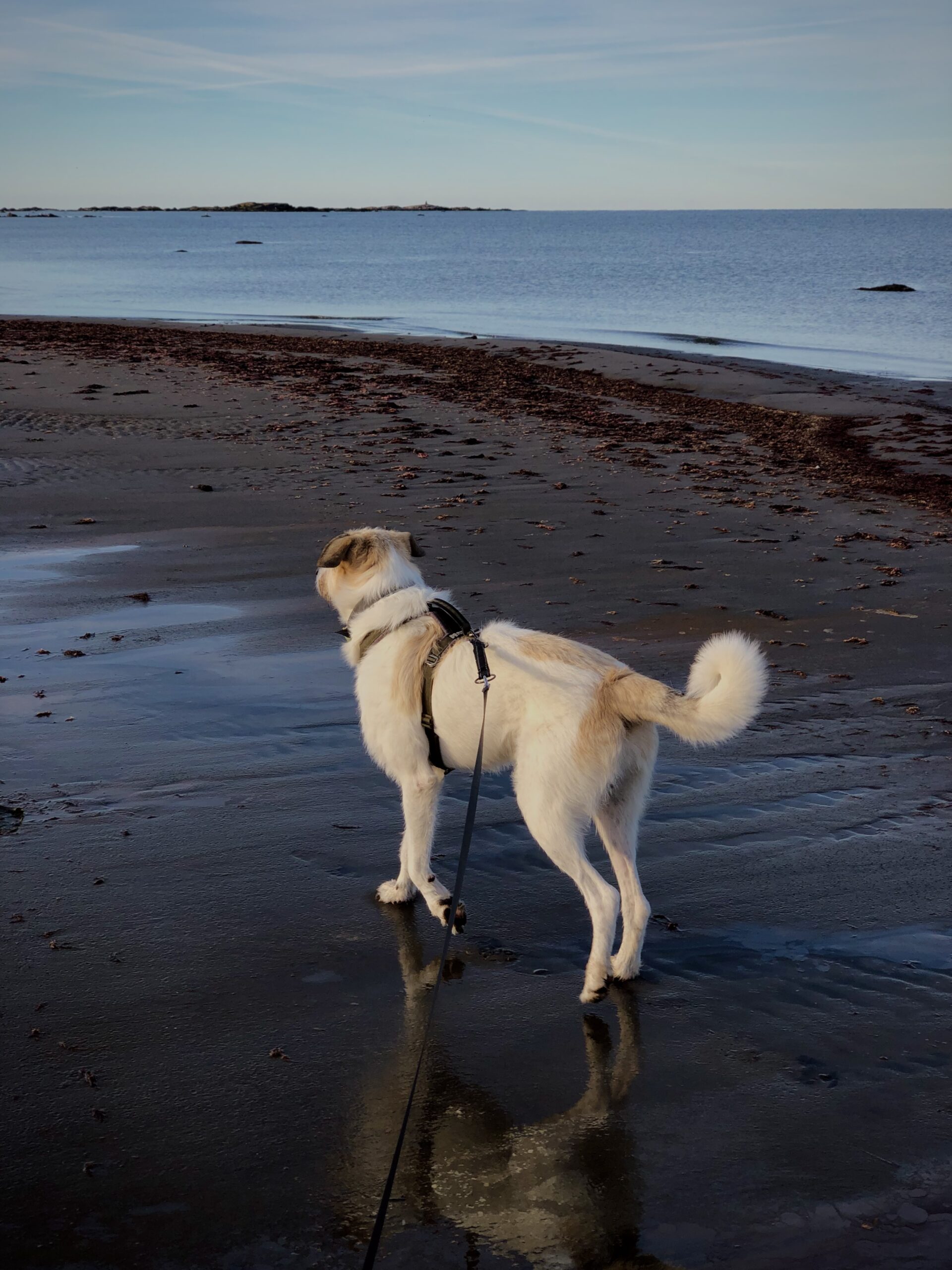 IMG 6945 46320f15215298641bcbeb6b85a63841 scaled