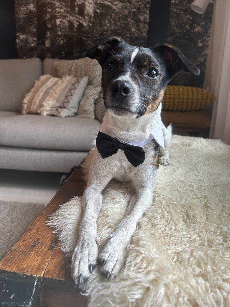 IMG 7962 c55cfc8596b6dfd18d09081410dd3856