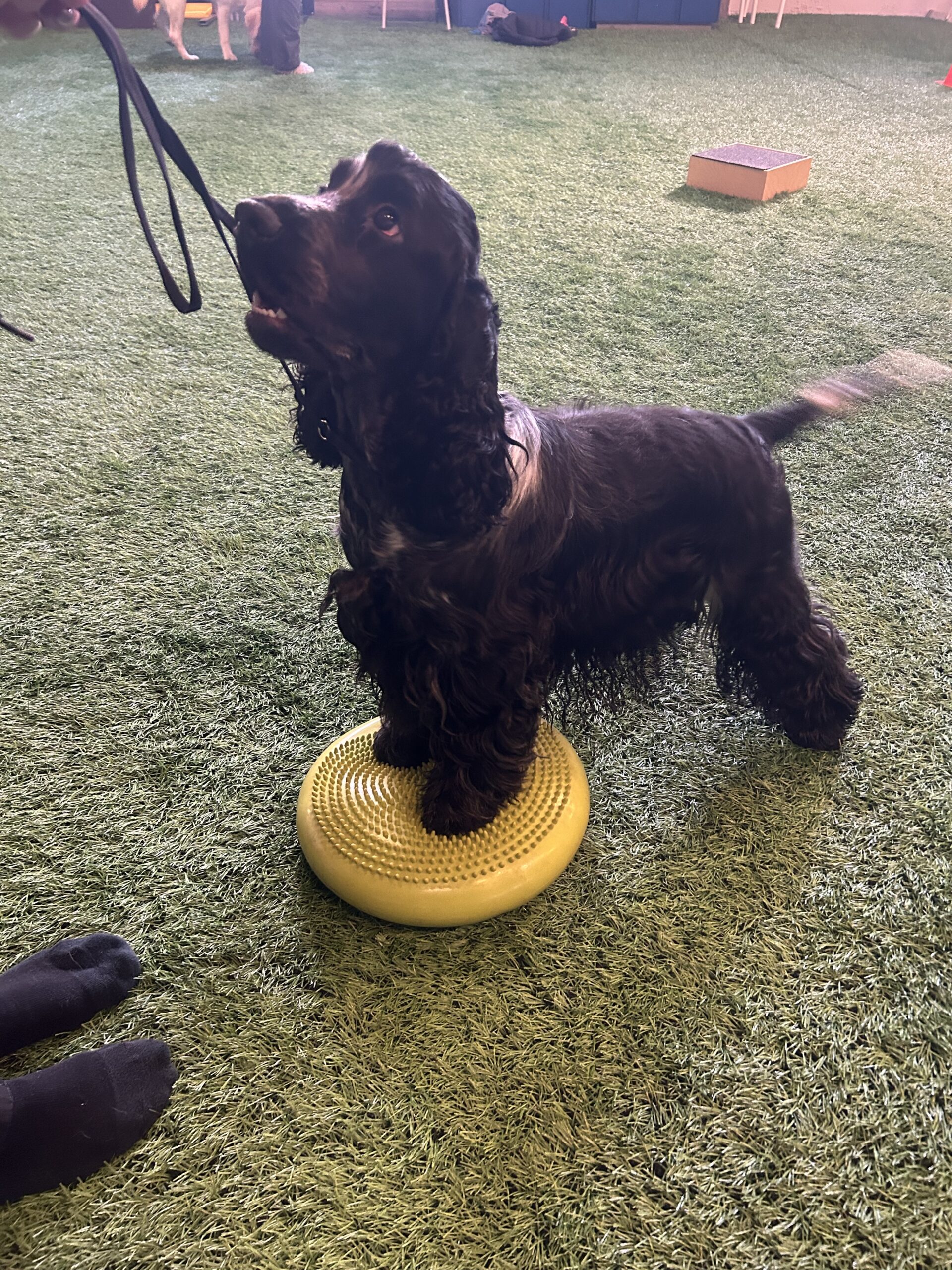 IMG 8285 60444a38d876a96adf01cea7d51a2537 scaled