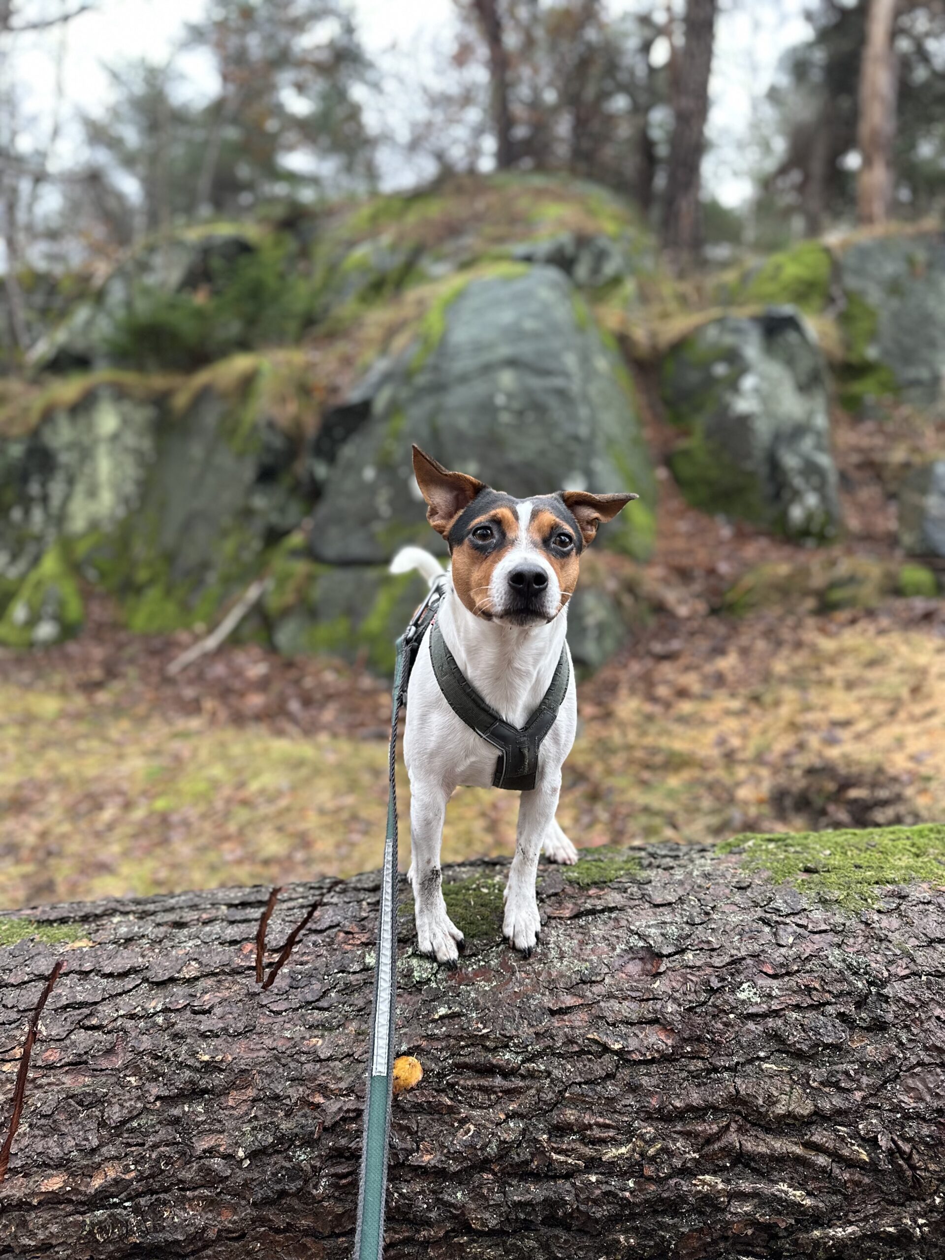 IMG 8316 7efc9f696869581d45c28b258f68d72e scaled