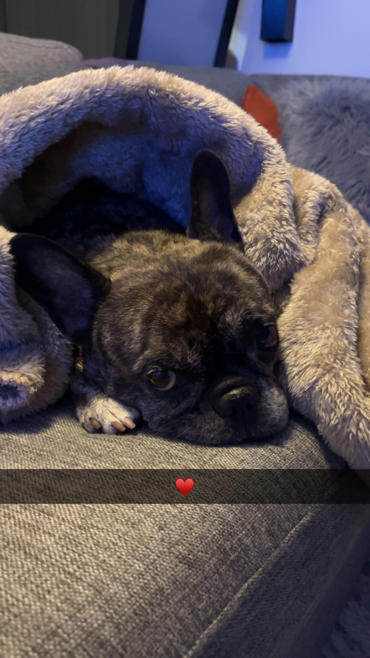 IMG 9310 fd7713efaf75fe01c86353dc4764107e