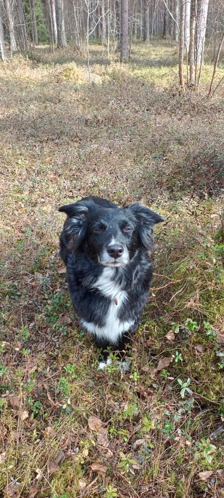 ac4b0d90 951b 4c35 b2c0 1fa11227ebf0 1 all 18981 ef6e368a38f6759956ef6e0b468ccc0d