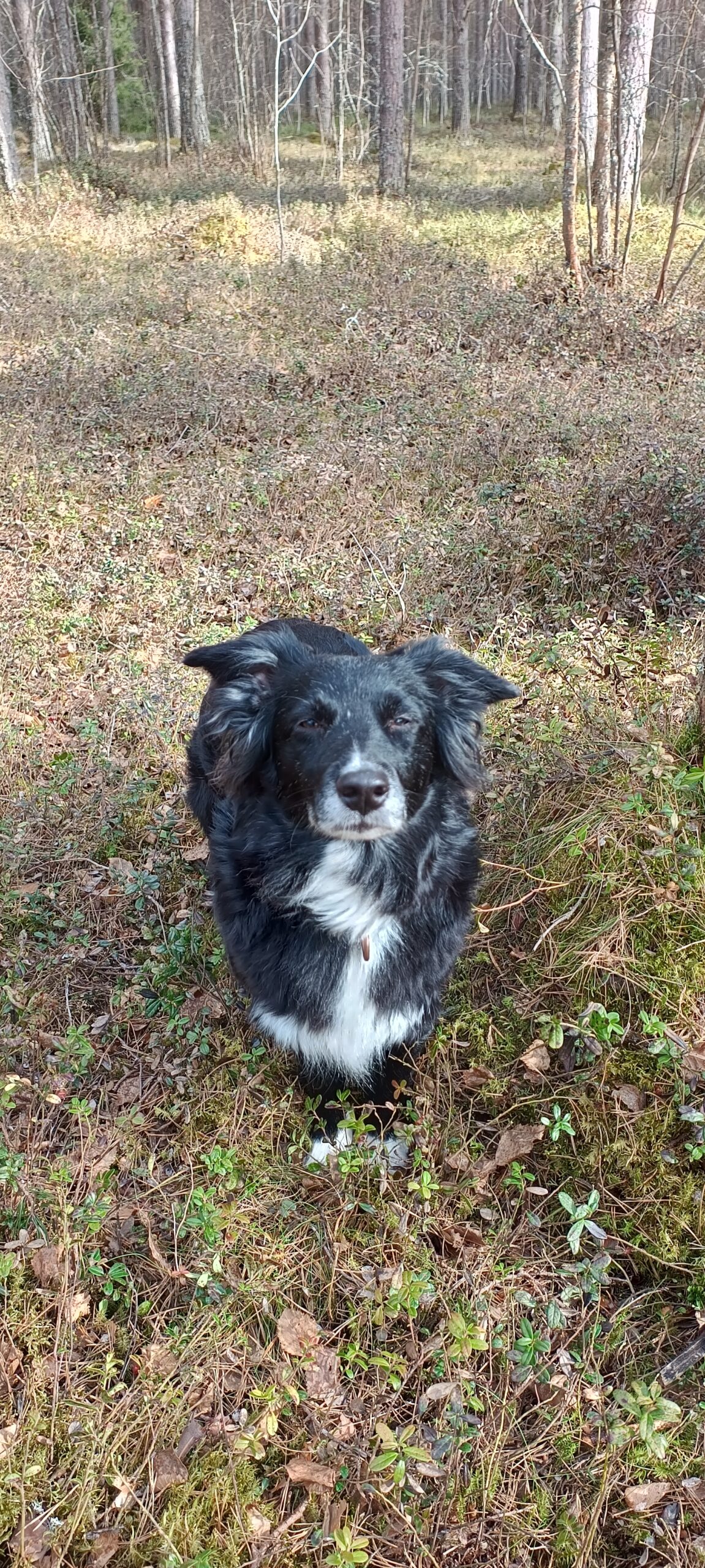 ac4b0d90 951b 4c35 b2c0 1fa11227ebf0 1 all 18981 ef6e368a38f6759956ef6e0b468ccc0d scaled