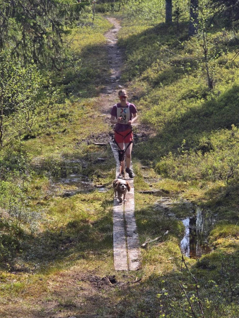 att.wYtD4OpCemCChxbq93T55YIkcv0o3OMfKD37HB5yn4E b97f3bd9a40cf7a01fc0c7f55bfe0d48