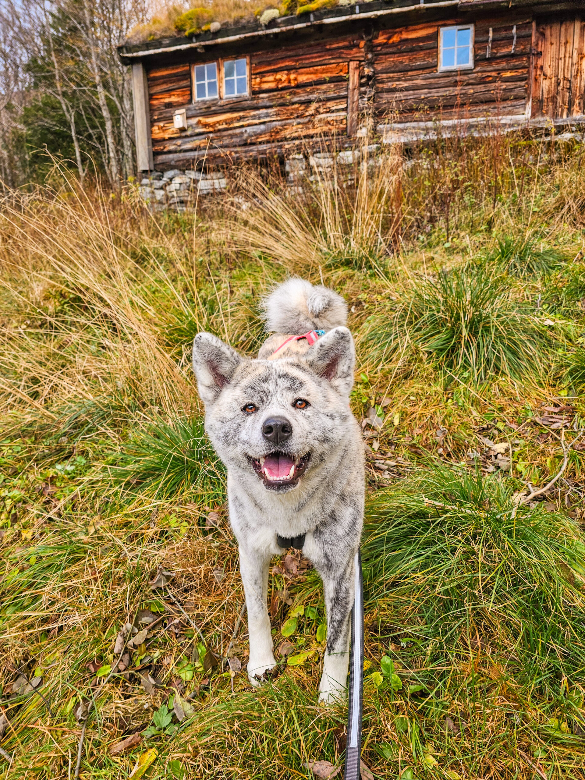 inbound3205017605300694088 de27b2e95c0d2403d6b3a6ab5d5fc8f6 scaled