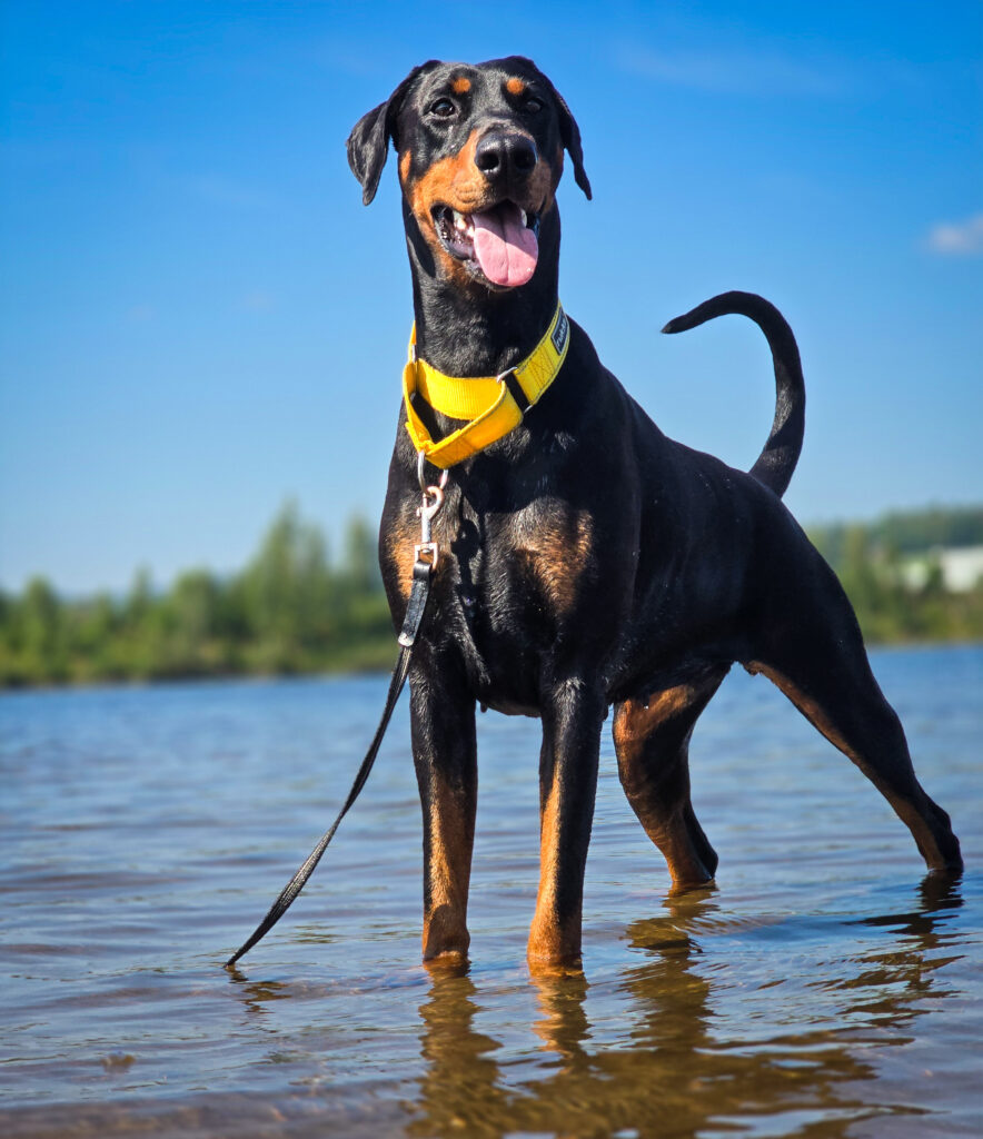 inbound3853859500660225996 25eafaa8b49c1470d905716be4bd9cc7