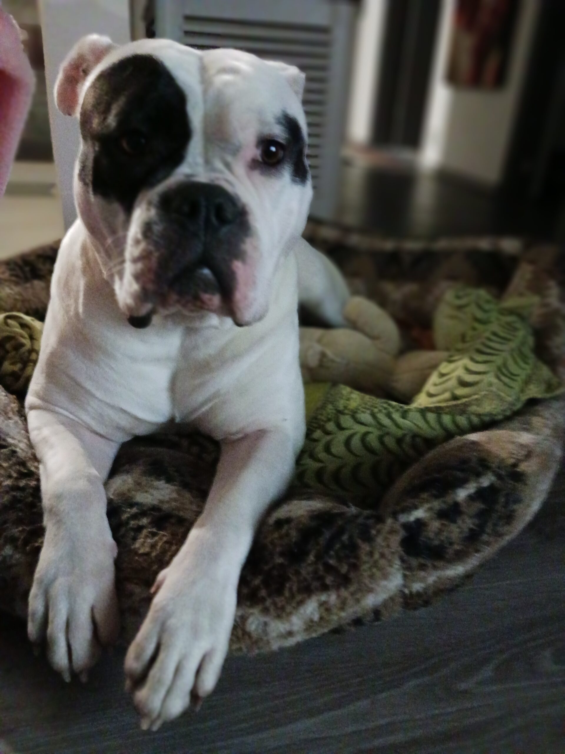 inbound7997056376836124801 3c58b86158e96d8cd6db8de02604d9a0 scaled