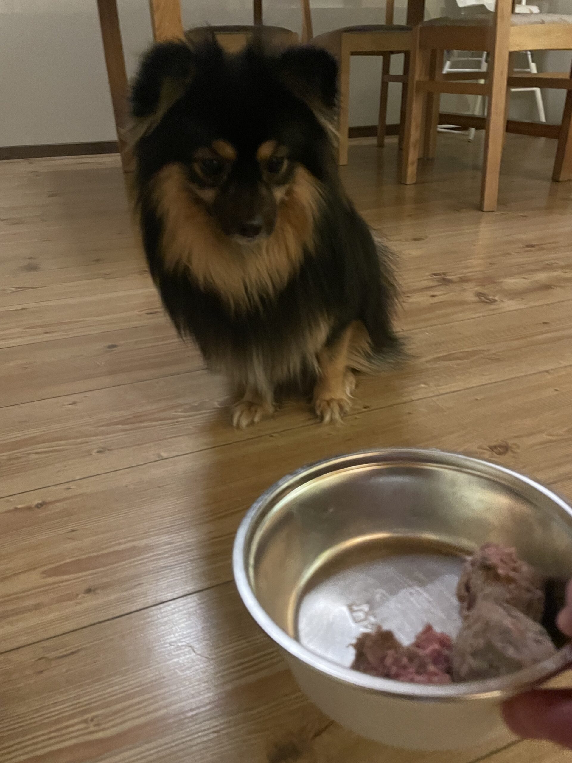 IMG 0194 fb47dbd2f71826f634ceaaaee75b01ba scaled