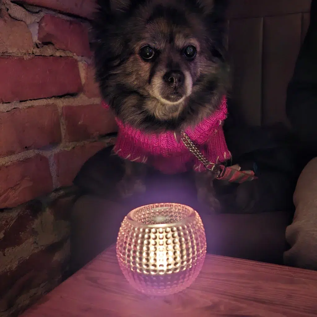 Hilla 2 inbound3401833426222779516 c97712cb9c0766170edfd79b7d25d15f