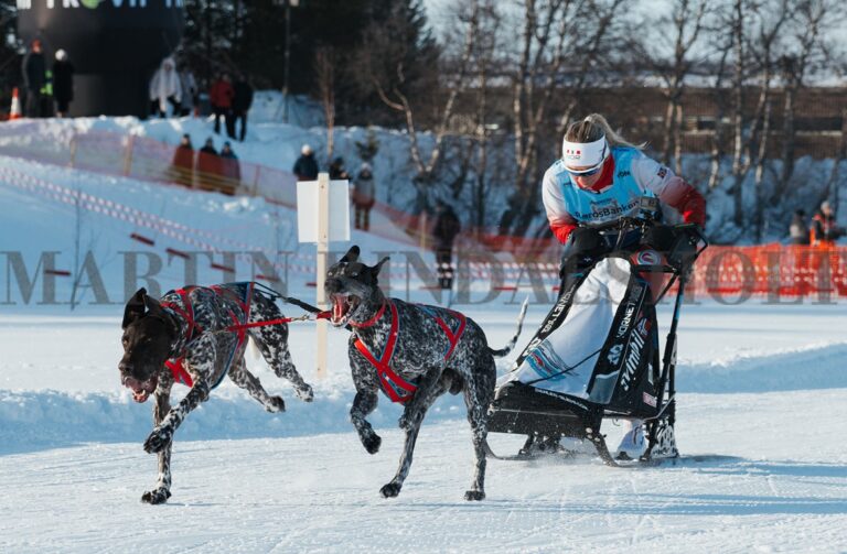Leki, Swix, Alpina og Atomic