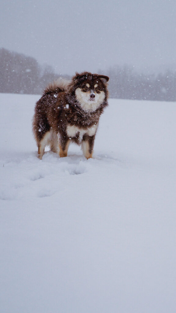 DSC8962 a929ed4aef064a38740c8b26c4e3ffb9